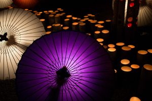 紫の和傘